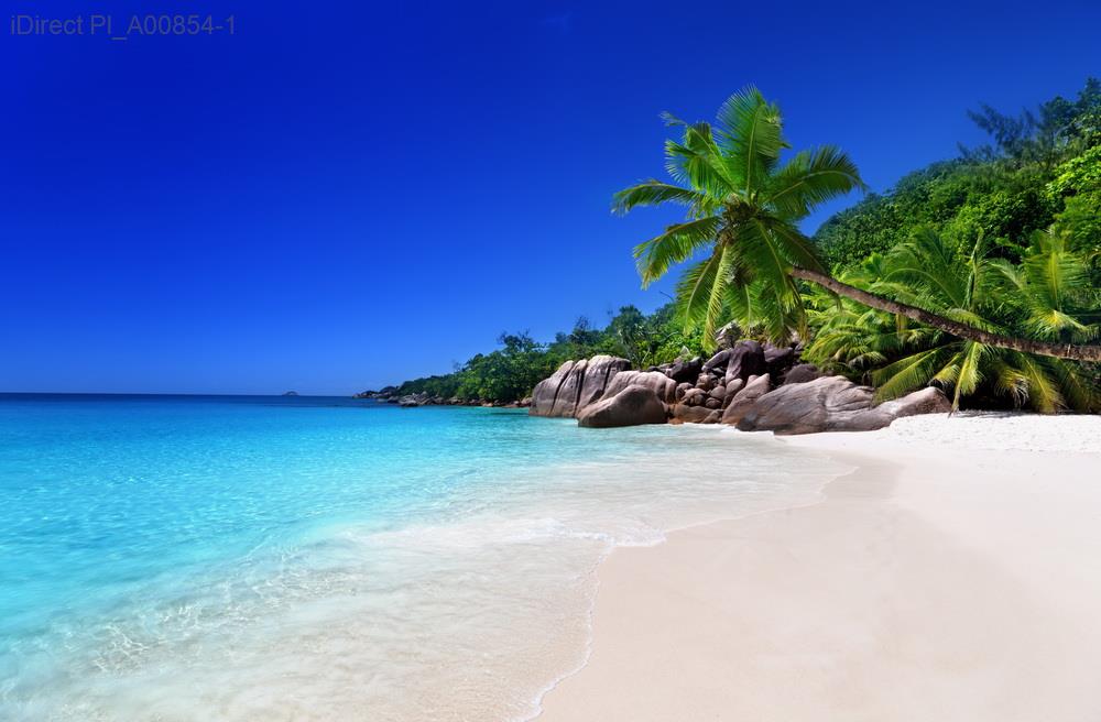 「揭秘中美貿易戰：全面解析其對國際外交的深遠影響」